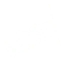 Play Aviator Ricky casino